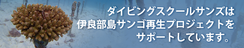 伊良部島サンゴ再生プロジェクト